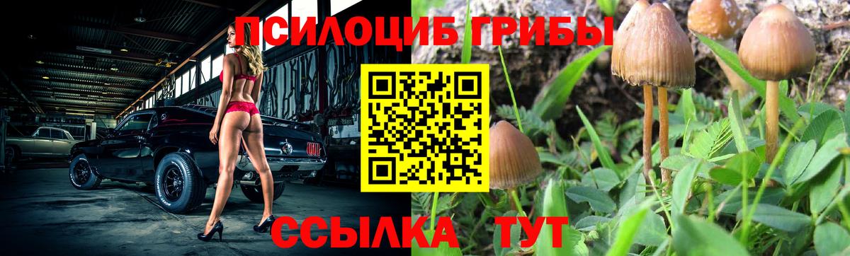 Галлюциногенные грибы прущие грибы Шатура