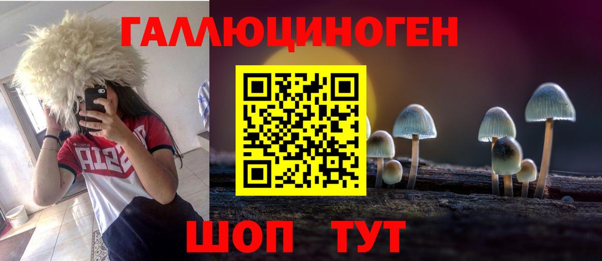 Шатура  цена   Псилоцибиновые грибы Psilocybine cubensis  Вход с VPN  Галлюциногенные грибы ЛСД 